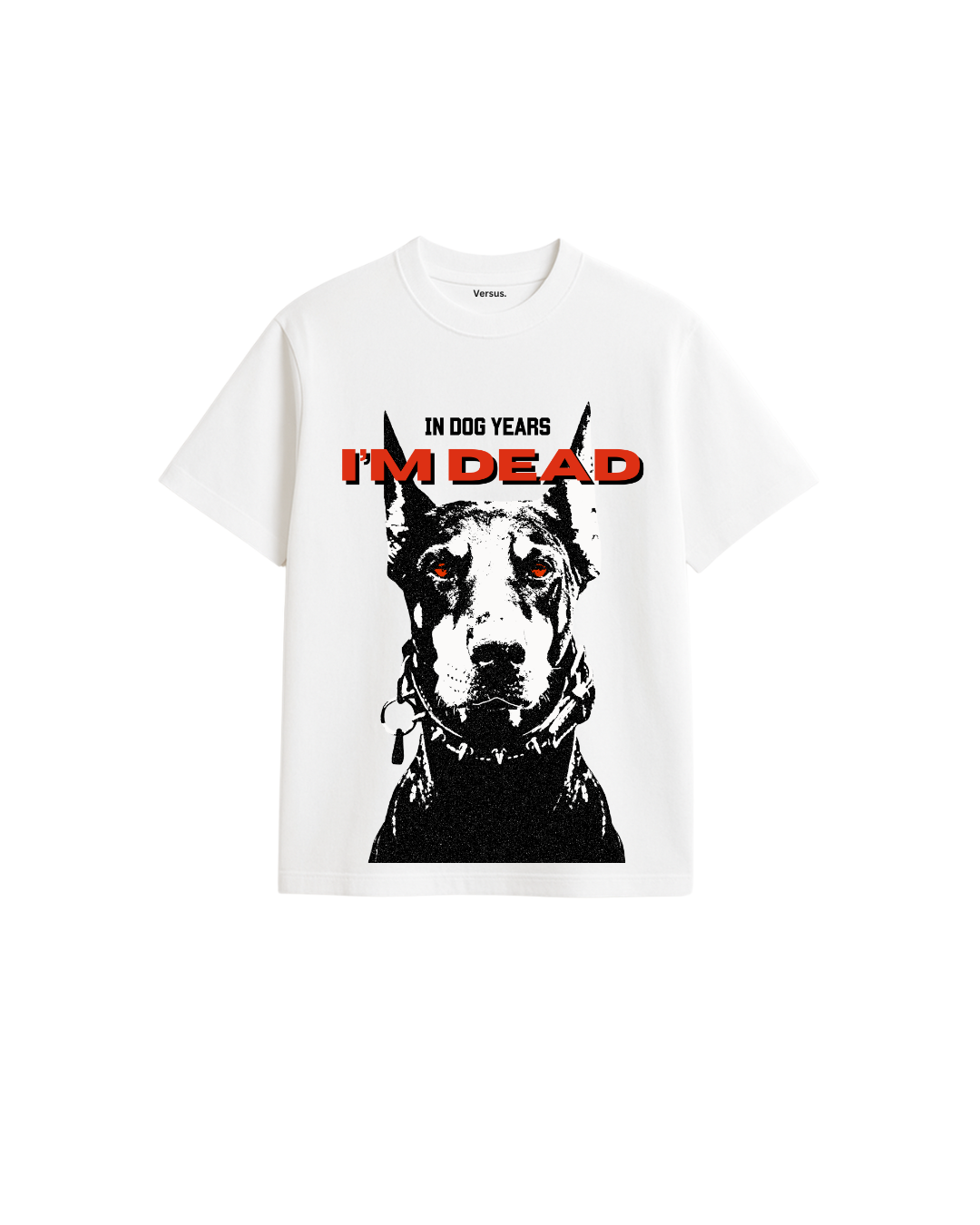 DOG YEARS OVERSIZED T-SHIRT
